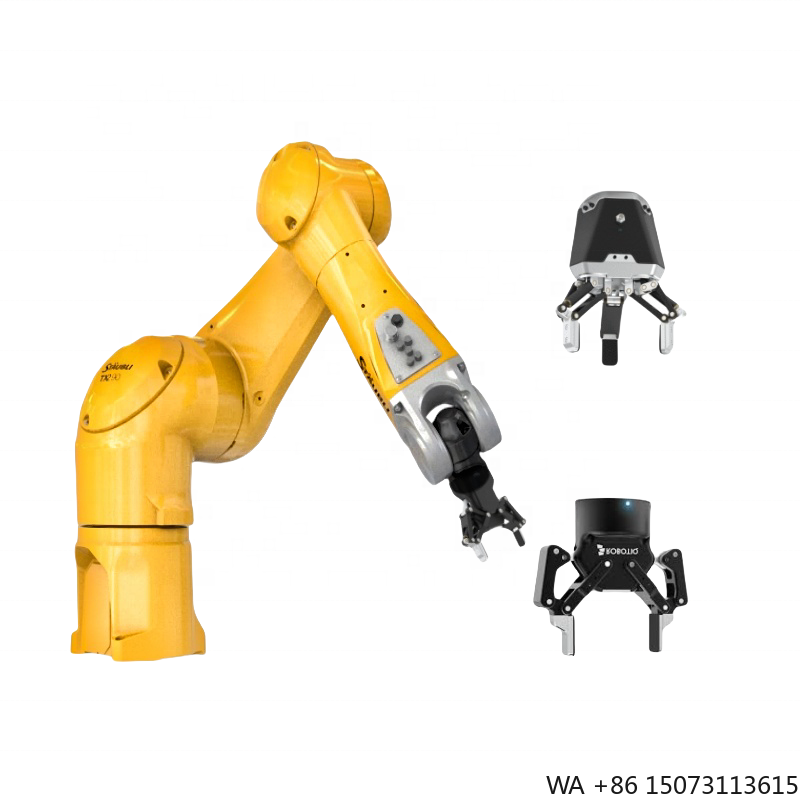 Robot Gripper - Robô Industrial de 6 Eixos Novíssimo